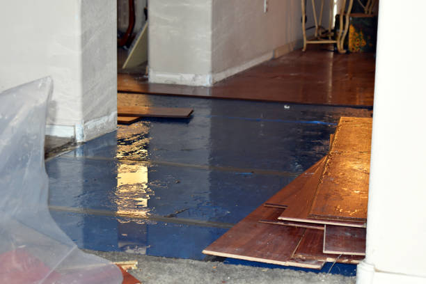 Professional Basement Flood Cleanup technician working in Carlisle, IA